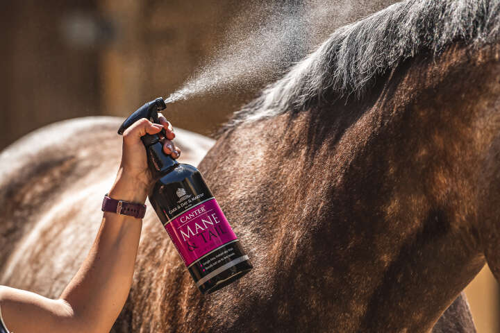 CARR & DAY & MARTIN Canter Mane & Tail Conditioner Spray
